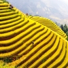 Ha Giang Tourism toward 2015