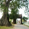 The ancient village of Duong Lam