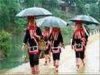 Tay in Quang Ninh 
