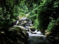 Hanoi National Parks and Wildlife Sanctuaries