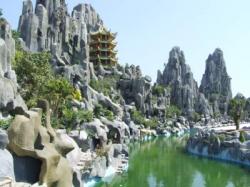 Vietnamese house hunters tour US 