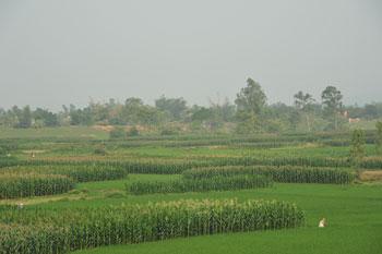 Màu xanh di sản (ảnh Hồng Tâm)