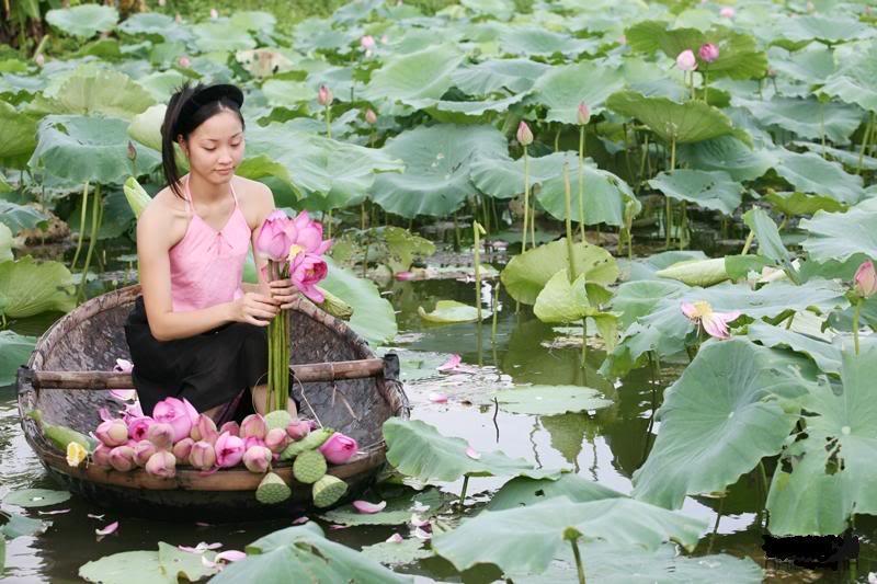 Ao Yem - Vietnam Travel Blog - Lotus Delta