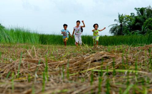 Joining Fun in Traditional games of children in Vietnam’s mountainous region