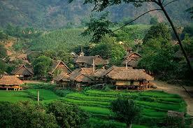 Village Village