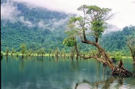 Noong lake - A Pristine Nature Lake