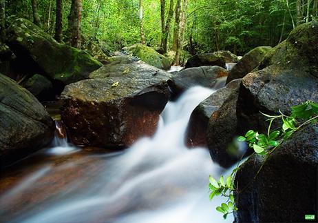 Tranh Stream- a Perfect Mixture of Stream, Beach, Forest and Mountain