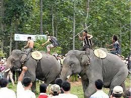 Elephant Race Festival, Dak Lak