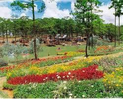 Da Lat - The city of thousand flowers