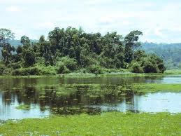 Adventure hike in Cat Tien National Park