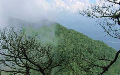 Ba Vi national park