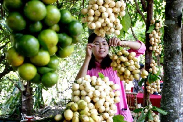 Lai Thieu Orchard and Cau Ngang Tourist Area- Binh Duong 